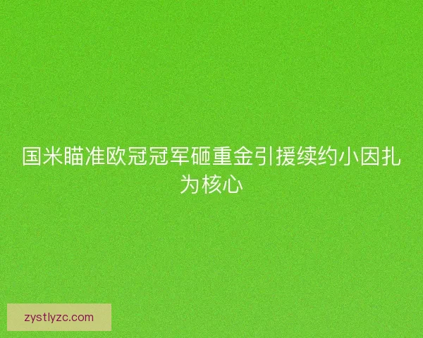 国米瞄准欧冠冠军砸重金引援续约小因扎为核心 国米瞄准欧冠冠军砸重金引援续约小因扎为核心